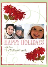 Holiday Cards - poinsettia time Holiday Cards - poinsettia time