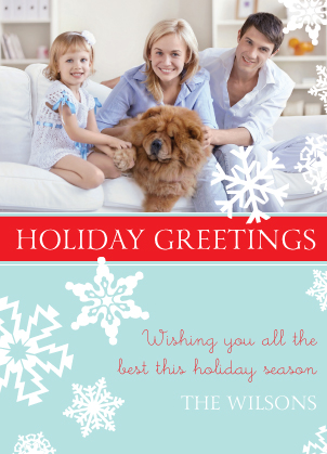 Christmas Cards - soft snowflakes