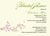 Wedding Shower Invitation