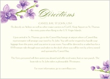 Direction - elegant orchids
