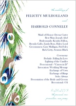 Program - peacock