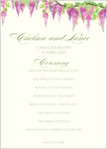 Program - wisteria collection