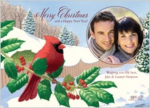 Holiday Cards - holiday cardinal