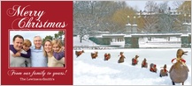 Holiday Cards - ducklings in the snow