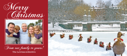 Holiday Cards - Ducklings in the Snow