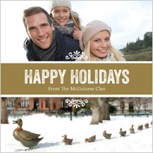 Holiday Cards - holiday ducklings
