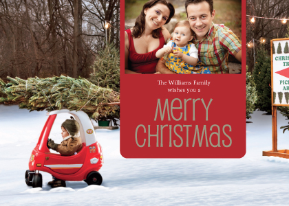 Christmas Cards - Christmas Tree Delivery