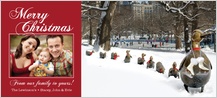 Christmas Cards - ducklings at frog pond