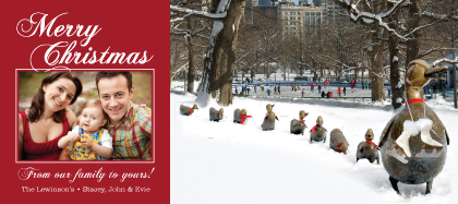 Christmas Cards - Ducklings at Frog Pond