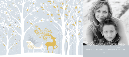 Holiday Cards - Reindeer Sleigh Ride