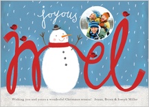 Christmas Cards - joyous noel