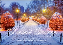 Holiday Cards - public garden greetings