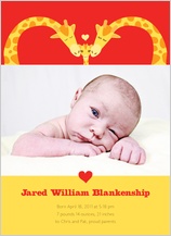 Birth Announcement with photo - loving giraffes