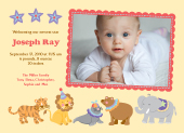 Birth Announcement