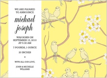 Birth Announcement - canaries