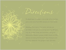 Direction - dandelion affair Direction - dandelion affair