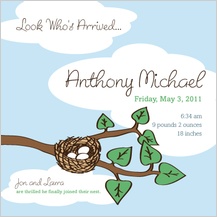 Birth Announcement - nest