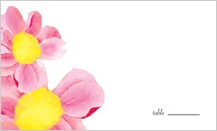 Place Card - bright daisies Place Card - bright daisies