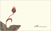 Place Card - peonies