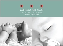 Birth Announcement with photo - little fleurs