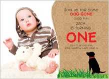 Birthday Party Invitation with photo - dog gone great birthday party