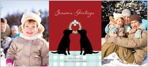 Holiday Cards - doggy holiday Holiday Cards - doggy holiday